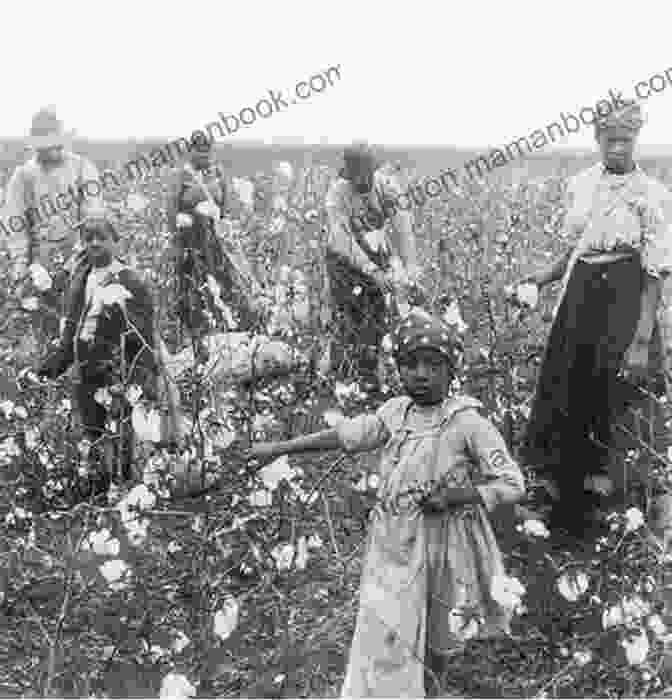 A Group Of Enslaved Children Working In A Field. Stolen Childhood: Slave Youth In Nineteenth Century America (Blacks In The Diaspora)