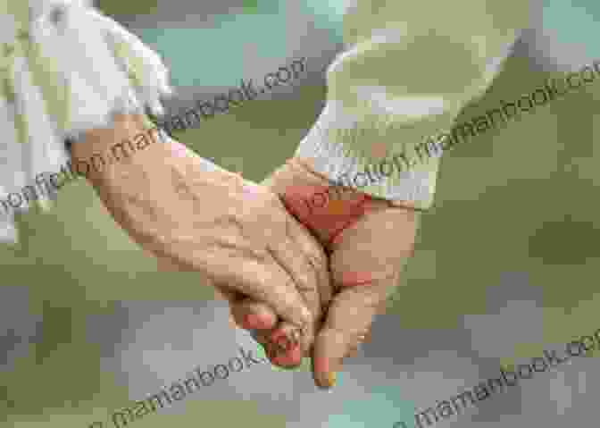 An Elderly Couple Holding Hands Love Reigns: Modern Sonnets And Other Poems