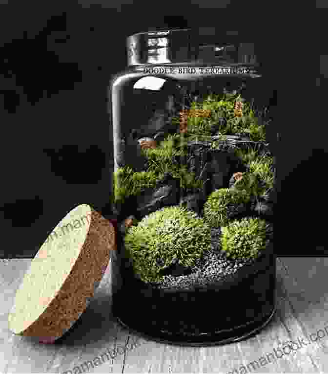 DIY Glass Jar Terrarium 100 Things To Recycle And Make (Crafty Makes)