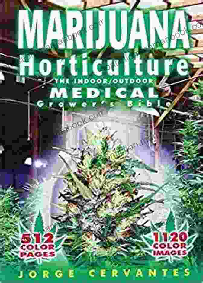 The Indoor Outdoor Medical Grower Bible Book Cover Marijuana Horticulture: The Indoor/Outdoor Medical Grower S Bible