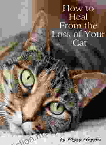 How To Heal From The Loss Of Your Cat